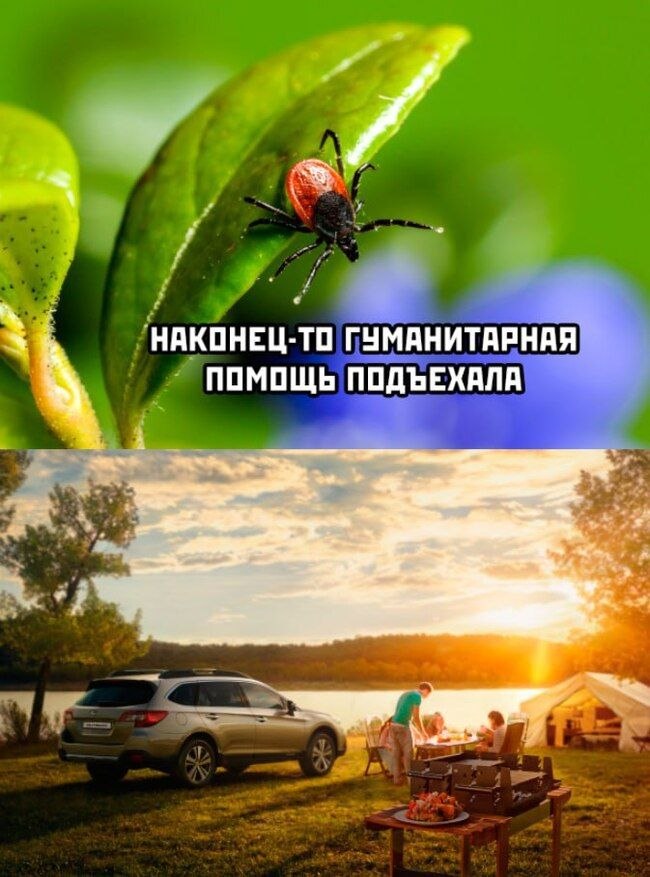 Врач-проктолог проводит осмотр пациента