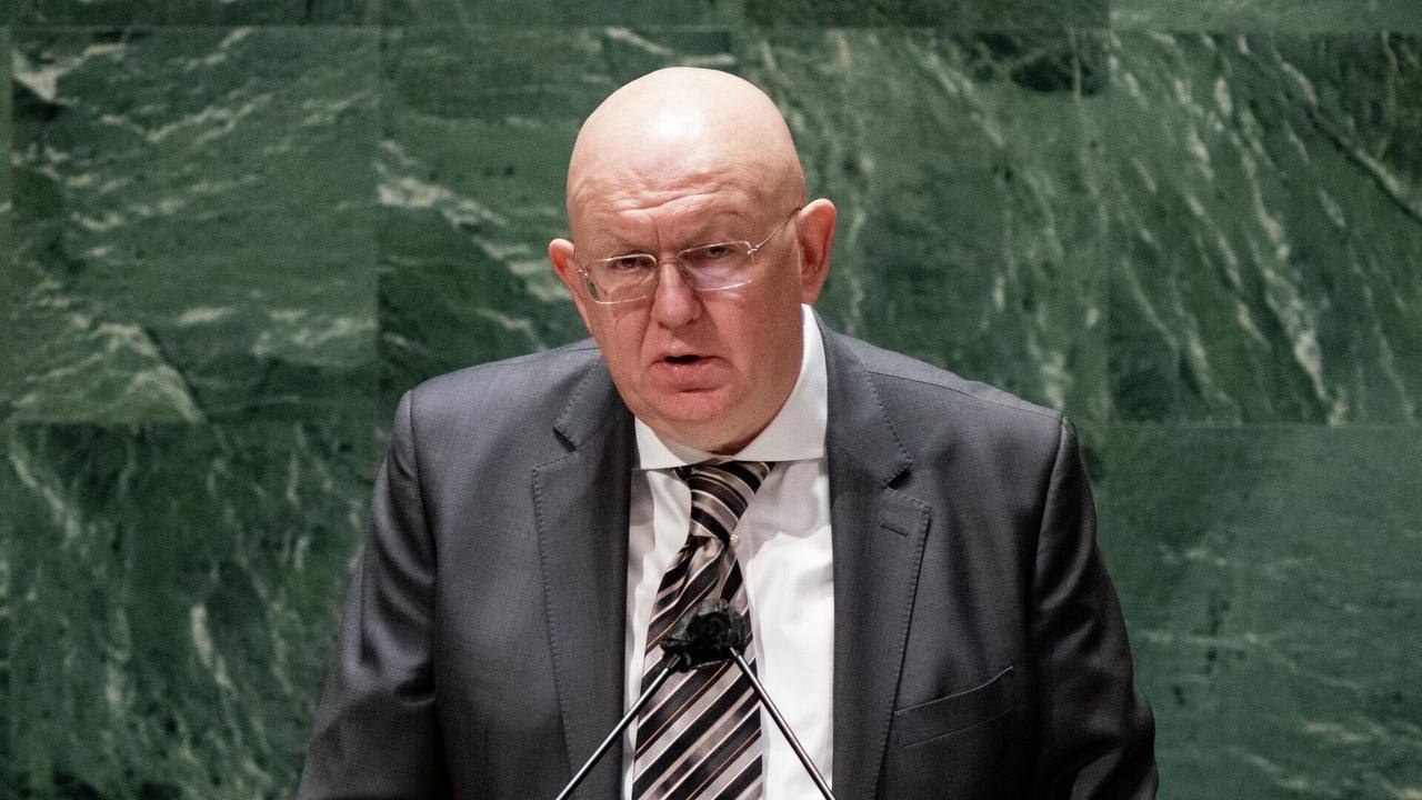 Постпред РФ Василий Небензя выступает в СБ ООН
