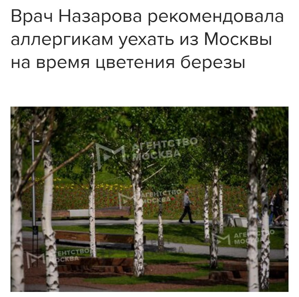 Аллергик в защитной маске на фоне цветущих берез
