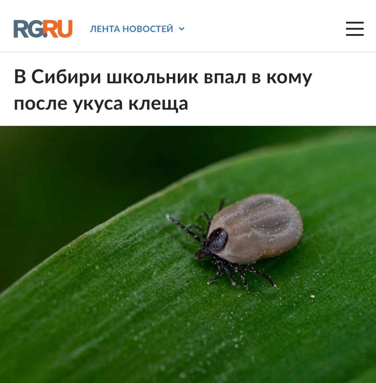 Подросток в больнице после укуса клеща