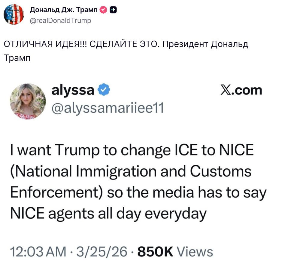 Логотип ICE меняется на NICE на фоне американского флага