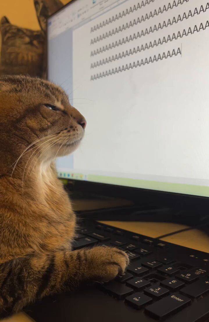 Человек отдыхает на природе после работы
