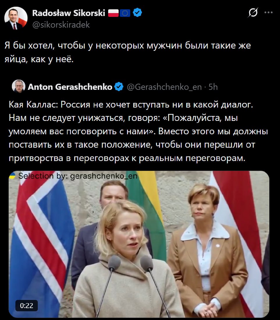 Глава МИД Польши Сикорский на пресс-конференции