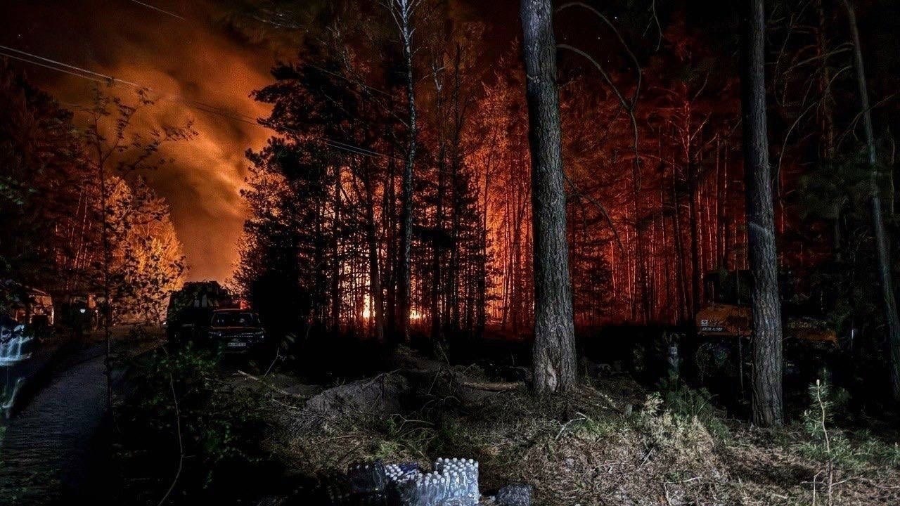 Лесной пожар в Чернобыльской зоне отчуждения