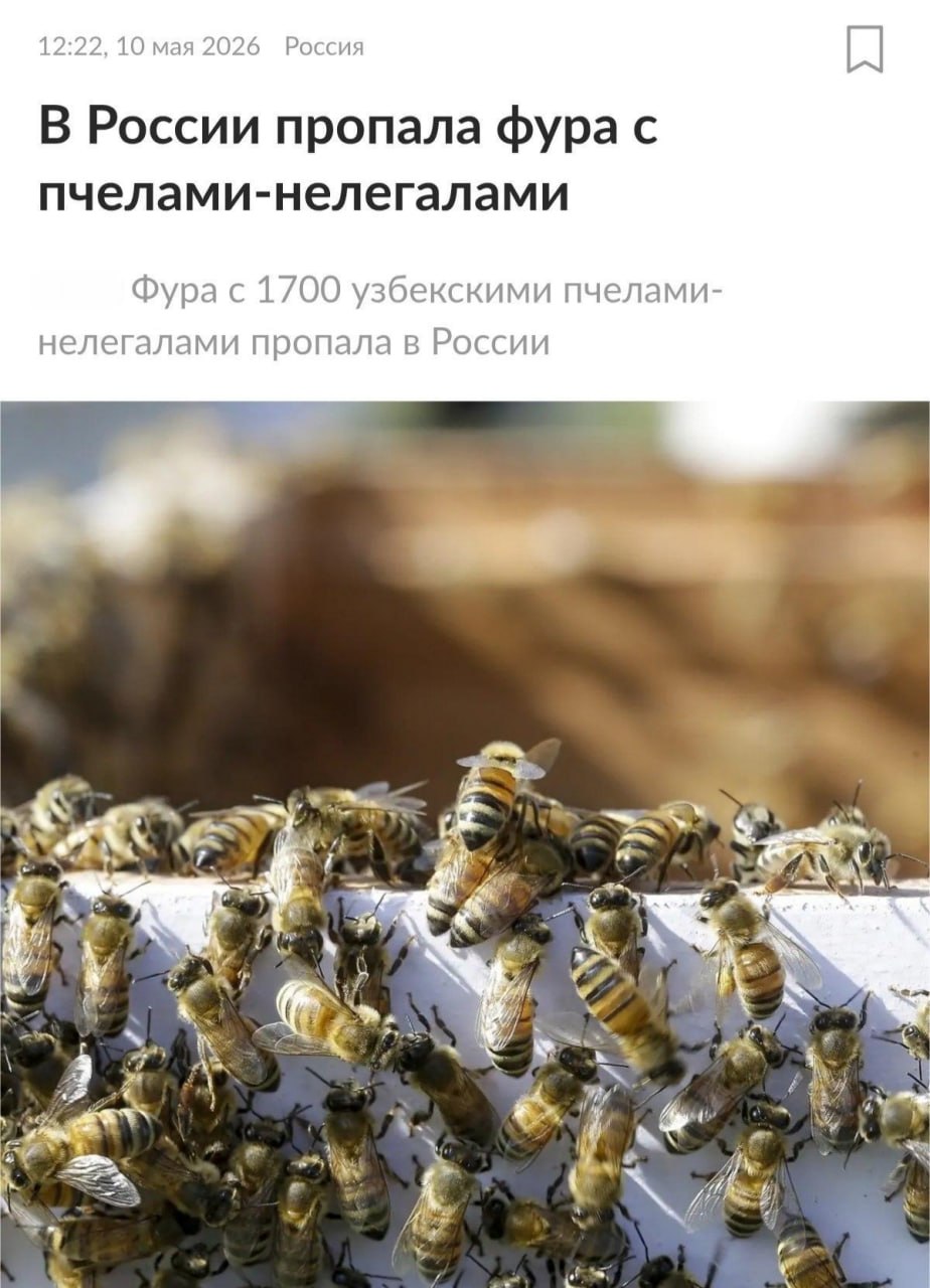 Фура с узбекскими пчёлами-нелегалами в розыске