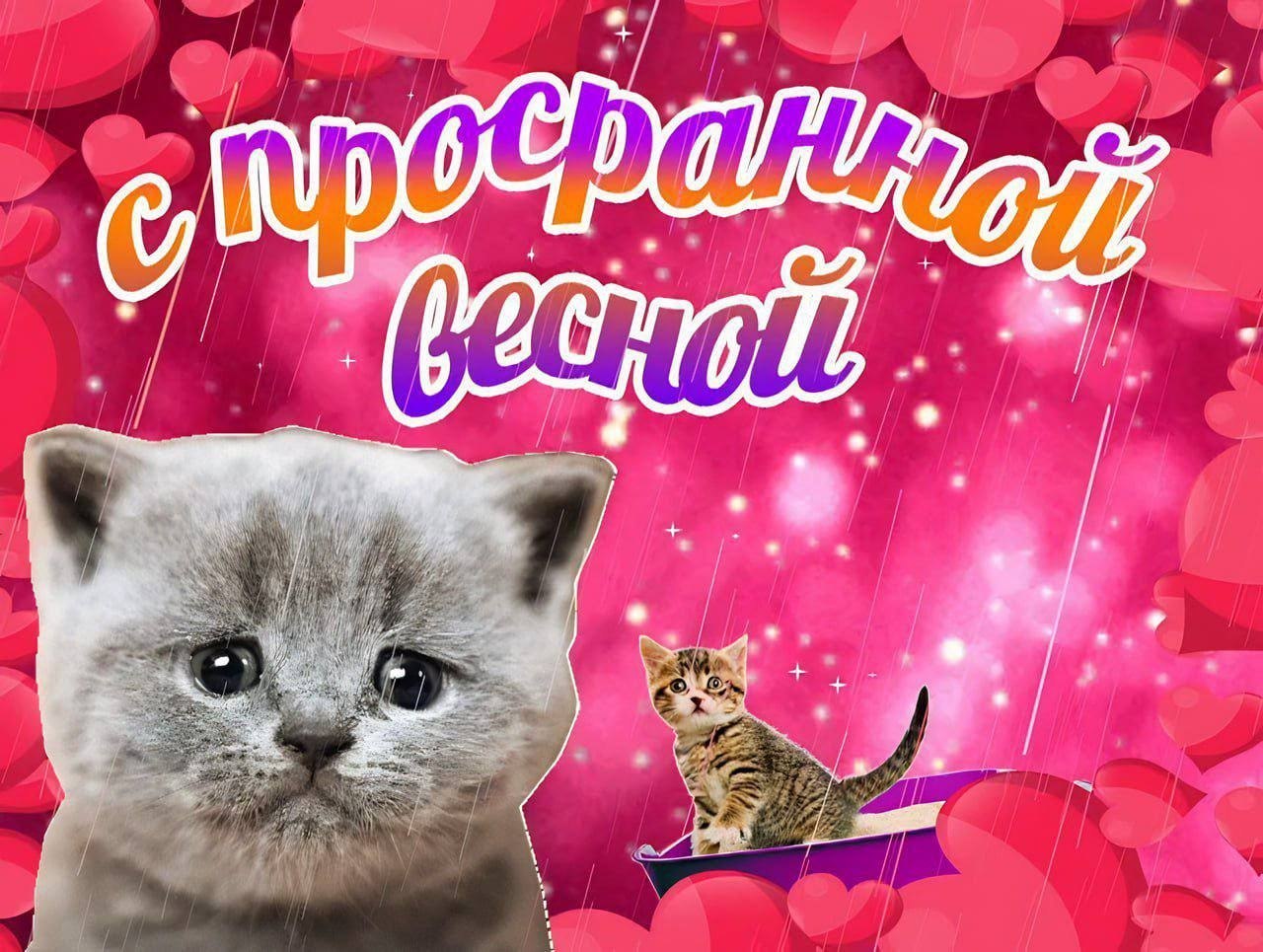 Яркое солнце и зеленая трава в летний день