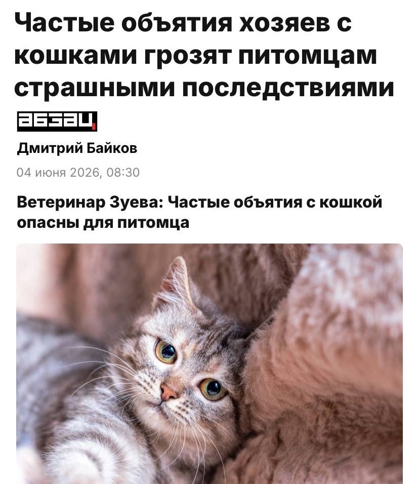 Кошка с грустными глазами от частых объятий