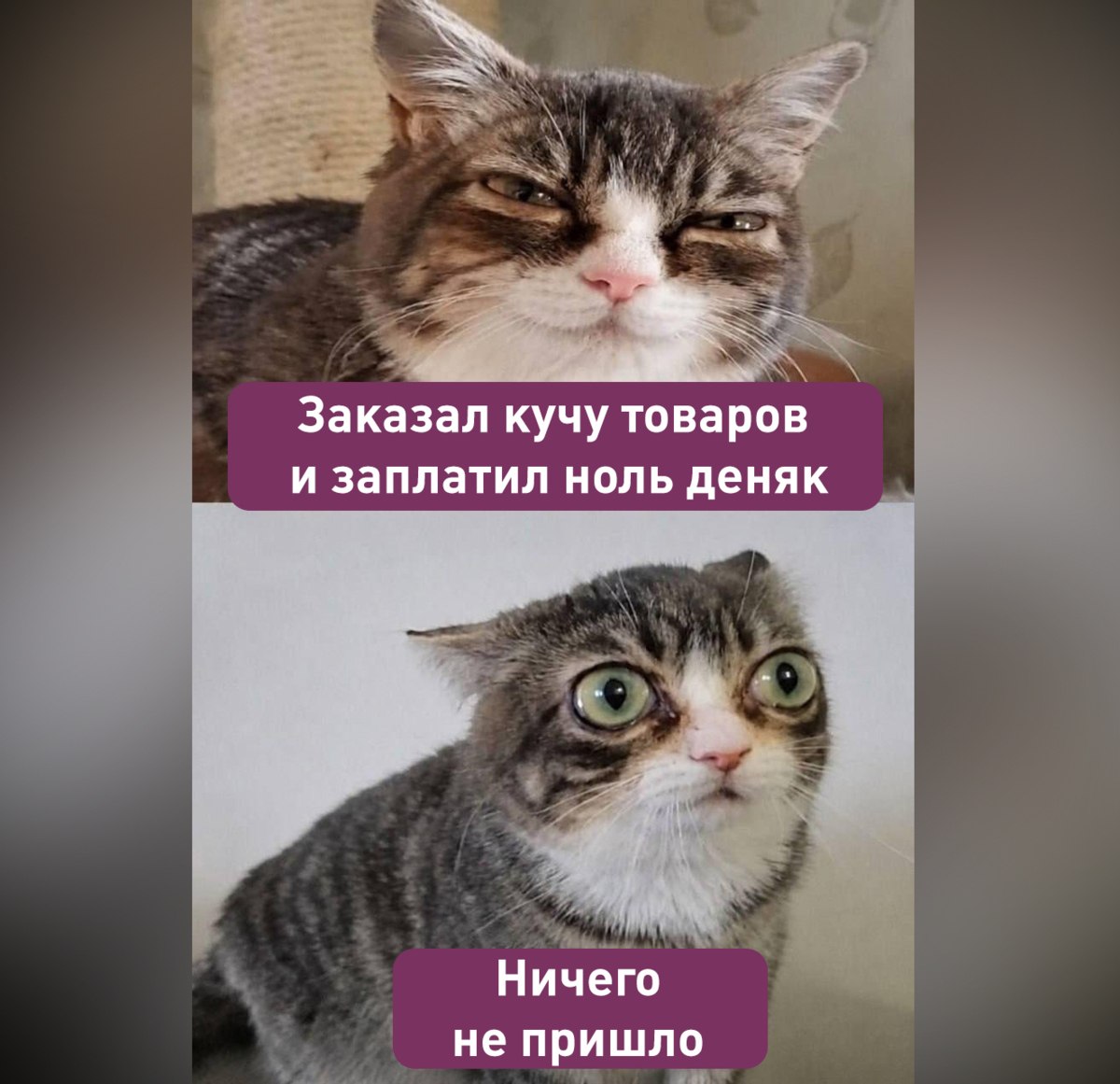 Фейковый шоппинг в Корее: иллюзия заказа еды на карте