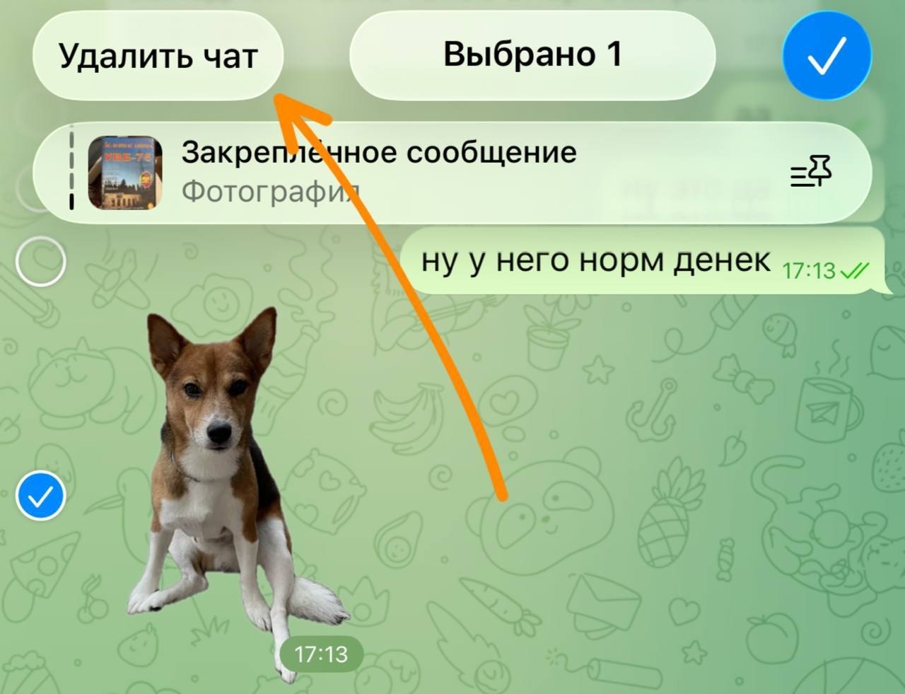 Интерфейс Telegram с кнопкой удаления чата