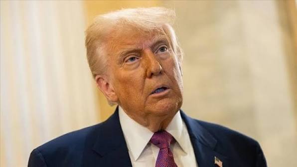 Дональд Трамп дает интервью телеканалу Fox News