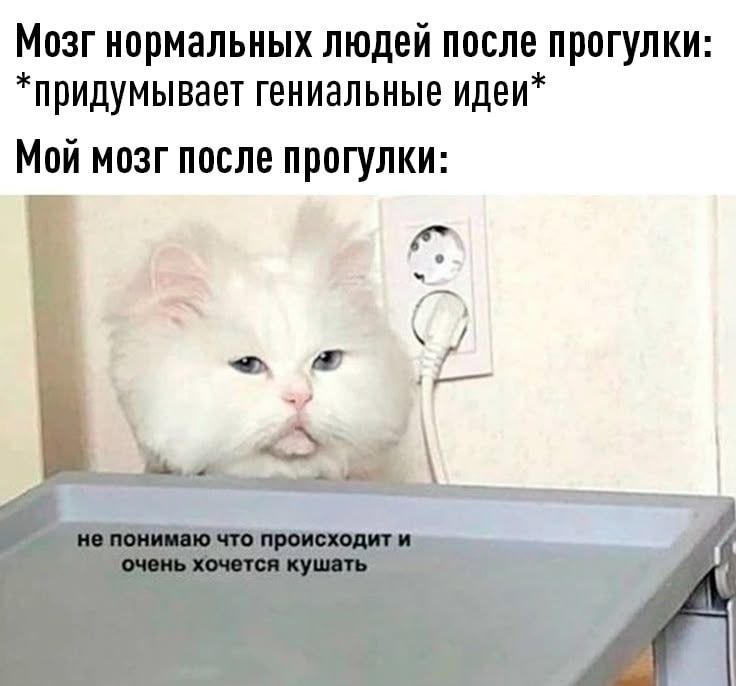 Человек быстро идет по парку, активируя мозг