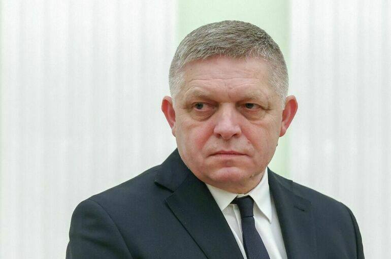 Премьер Словакии Фицо выступает с предложением о линии связи