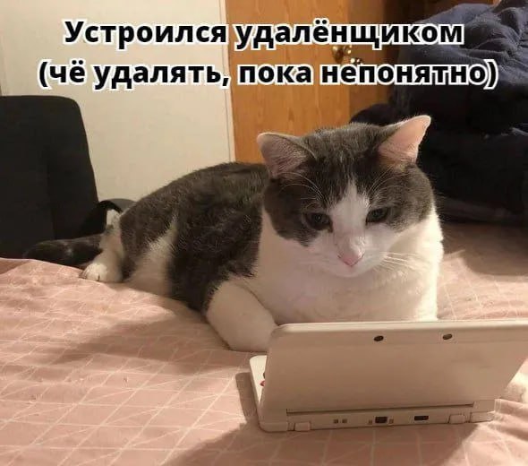 Человек за ноутбуком в пустой комнате чувствует тревогу