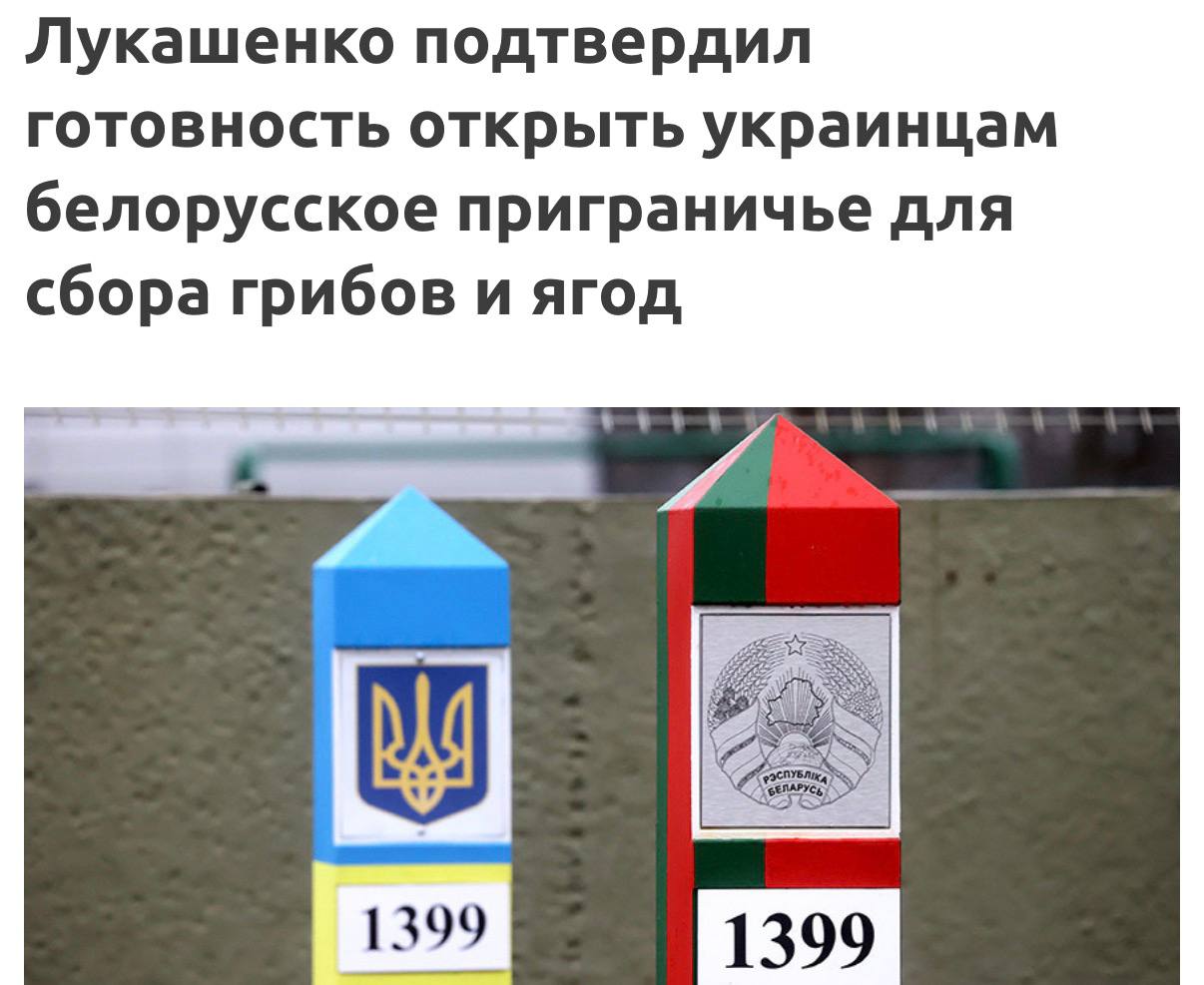 Жители приграничья собирают грибы в белорусском лесу