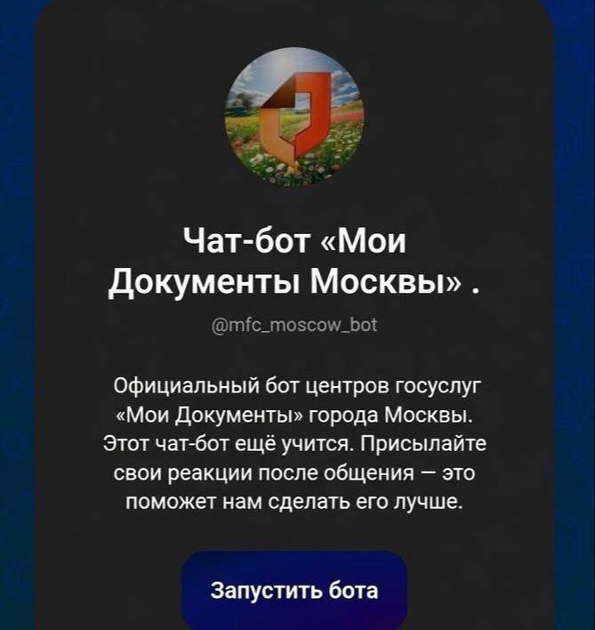 Чат-бот Max на экране смартфона для загранпаспорта