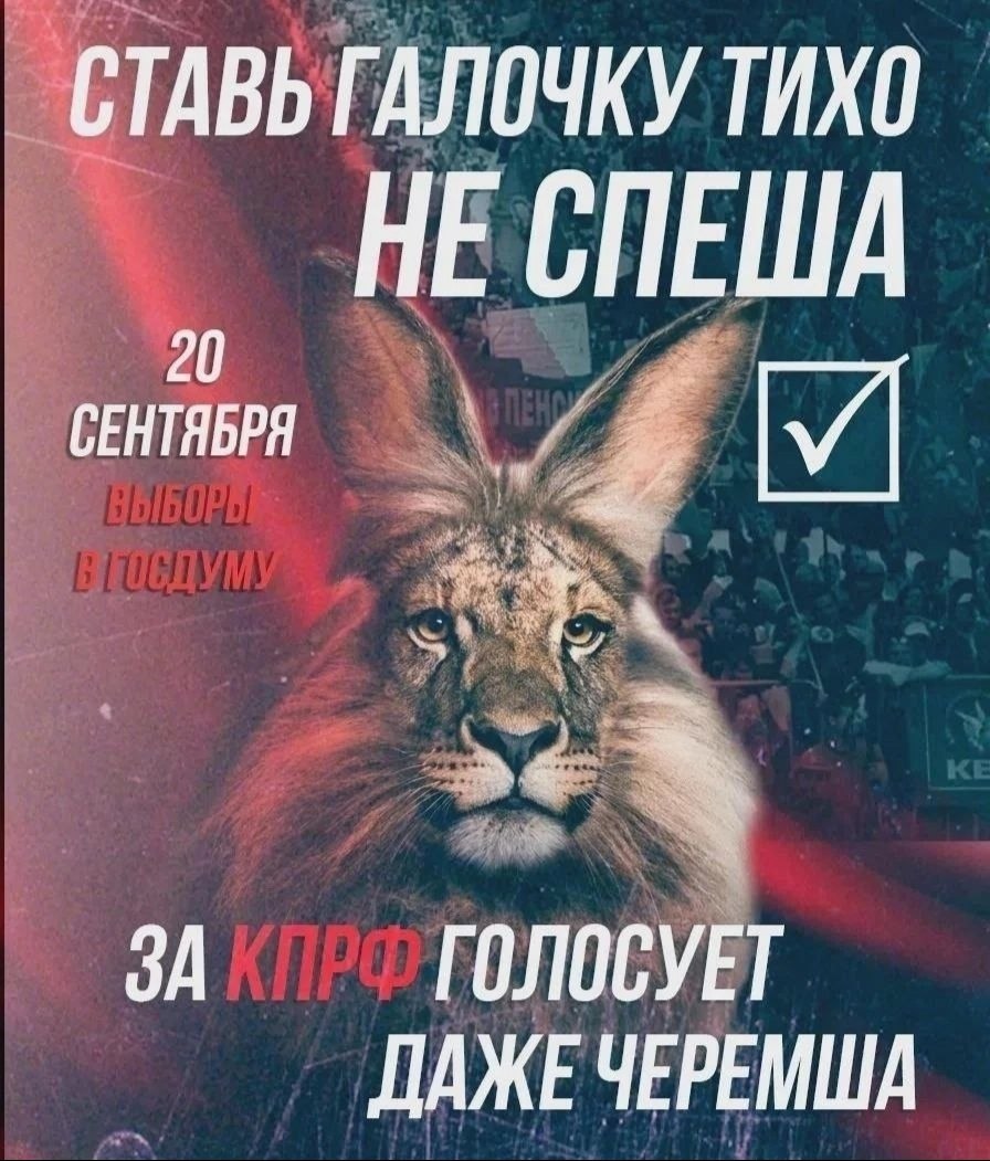 Агитплакат с Черемшой за КПРФ для зумеров