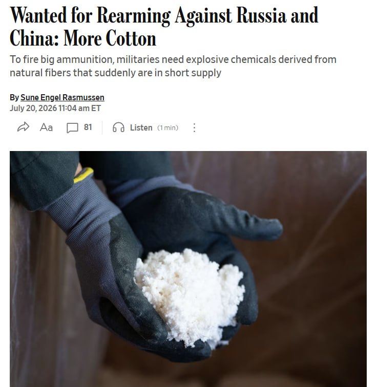 Поле хлопка, сырье для производства пороха