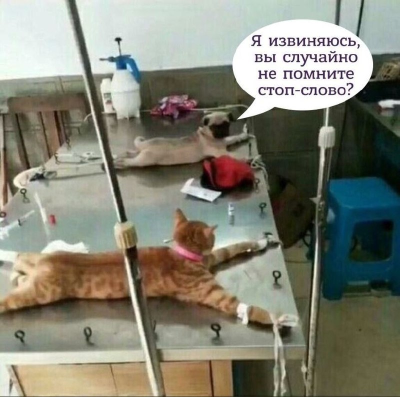 Символика Международного Дня БДСМ