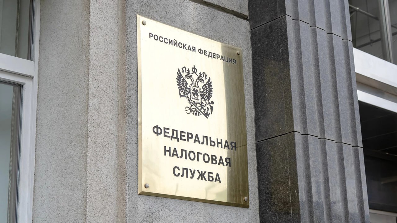 Глава ФНС Егоров на пресс-конференции о налогах