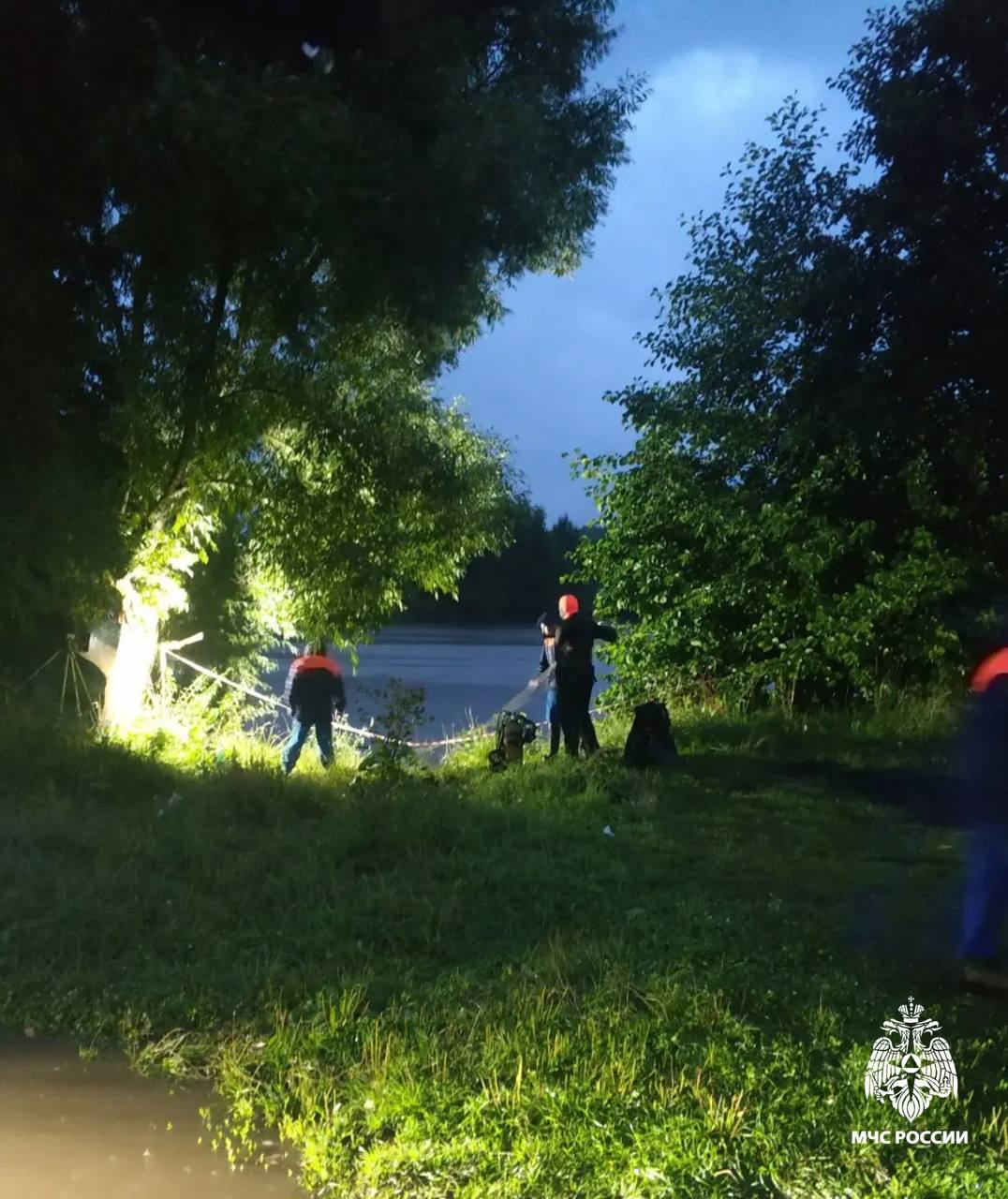Мальчик утонул в пруду, пытаясь достать мяч