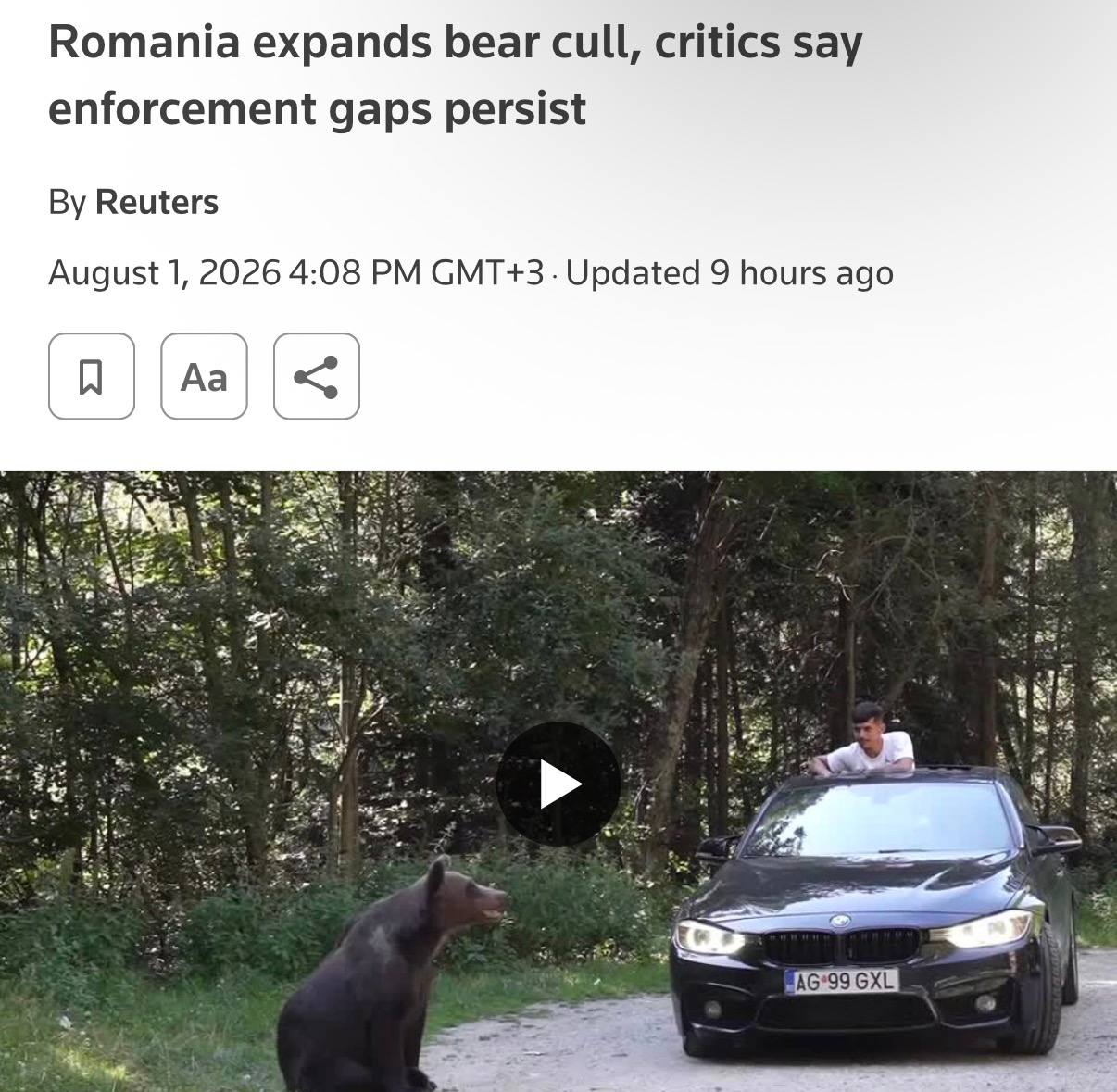 Бурый медведь в лесу Румынии