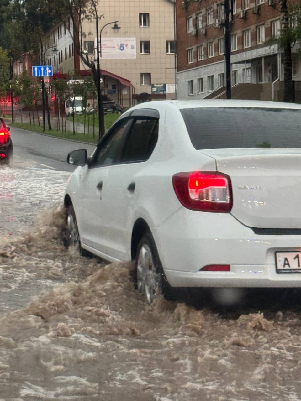 Разрушенный ураганом город с поваленными деревьями