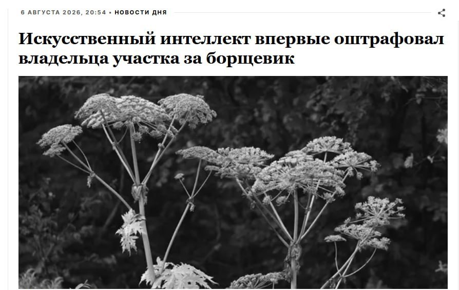 Дрон обнаруживает борщевик на участке