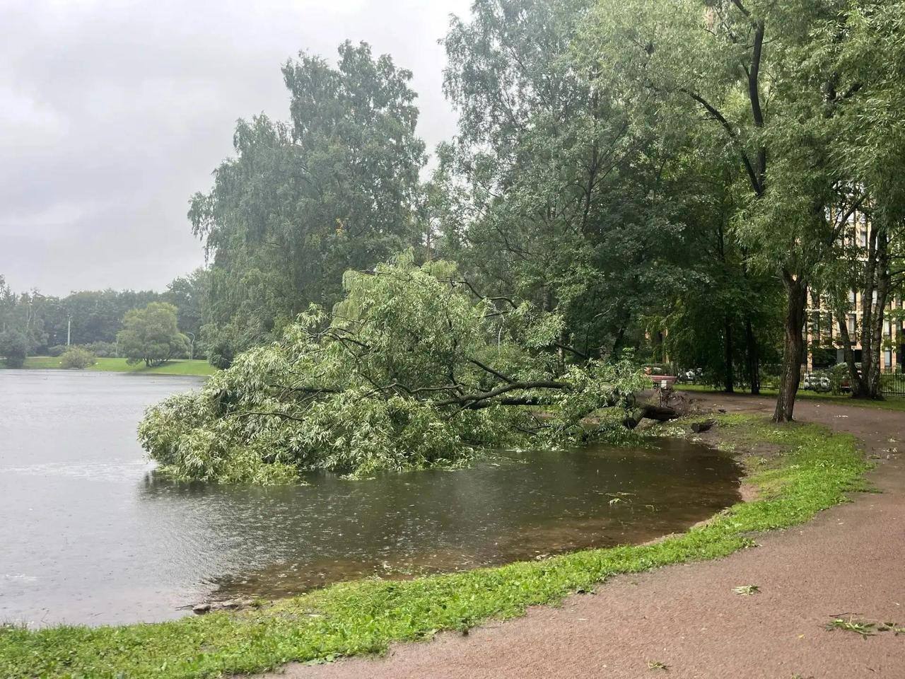 Затопленная улица Санкт-Петербурга после ливня