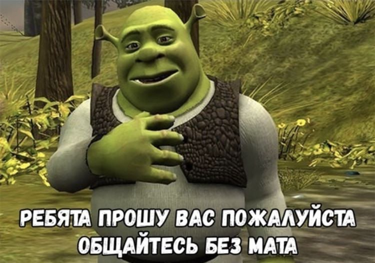Священник РПЦ осуждает мат и сквернословие
