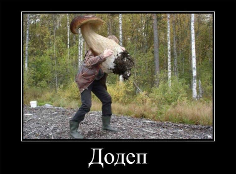 Грибник с корзиной в осеннем лесу