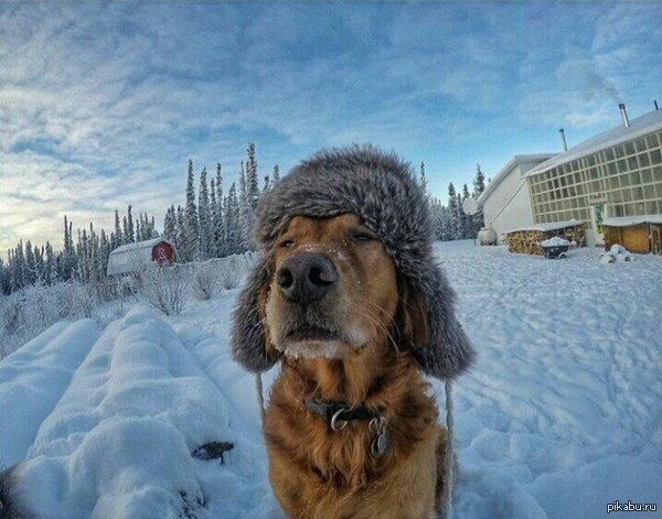 Ночной городской пейзаж Москвы в условиях аномального холода