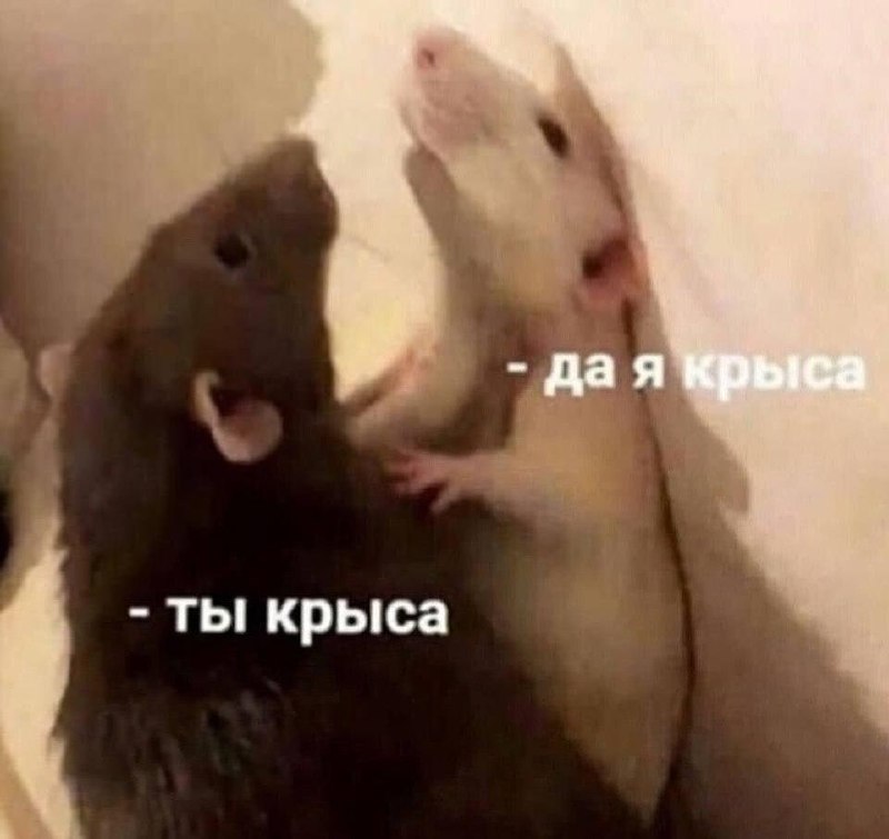 Сотрудники обсуждают коллег в офисе за чашкой кофе