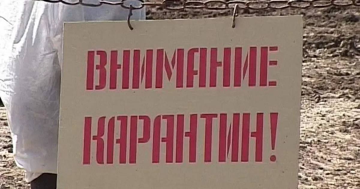 Предупреждающий знак карантина на фоне леса