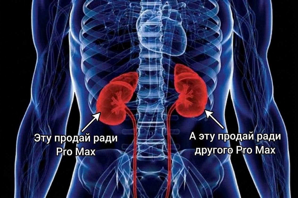 Дорогая подписка ChatGPT Pro Max за 500 долларов