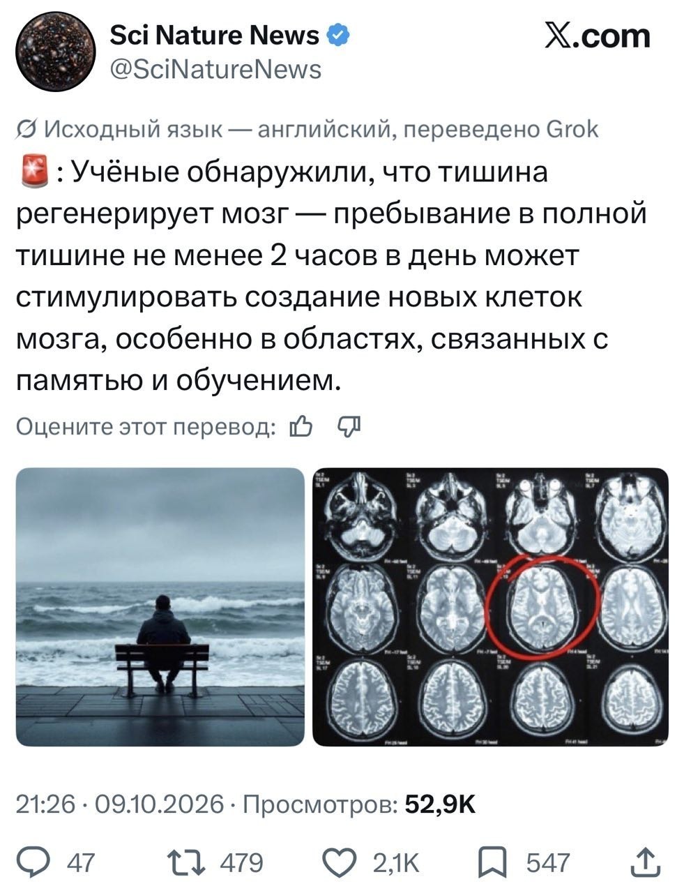Человек медитирует в тишине для роста нейронов