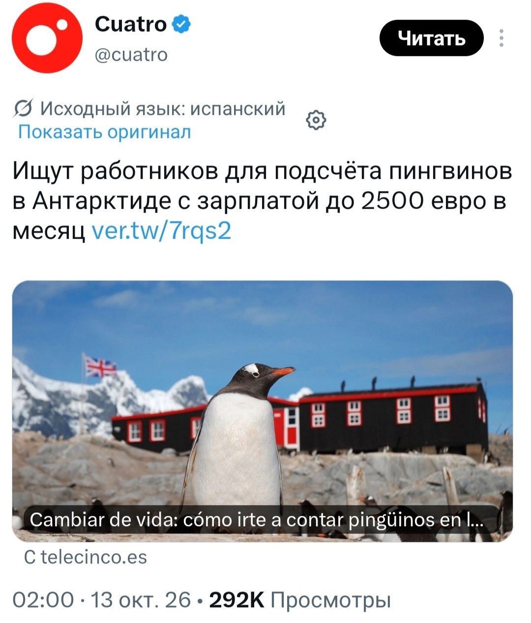 Смотритель считает пингвинов в Антарктиде