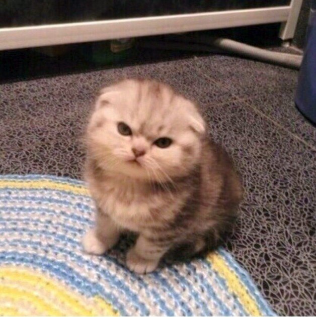 Человек ворчит на погоду за окном