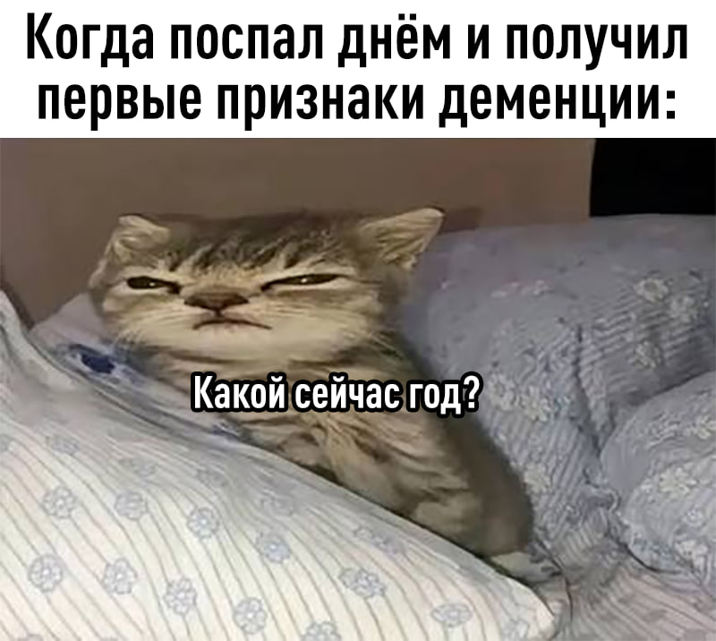 Пожилой человек дремлет в кресле днём