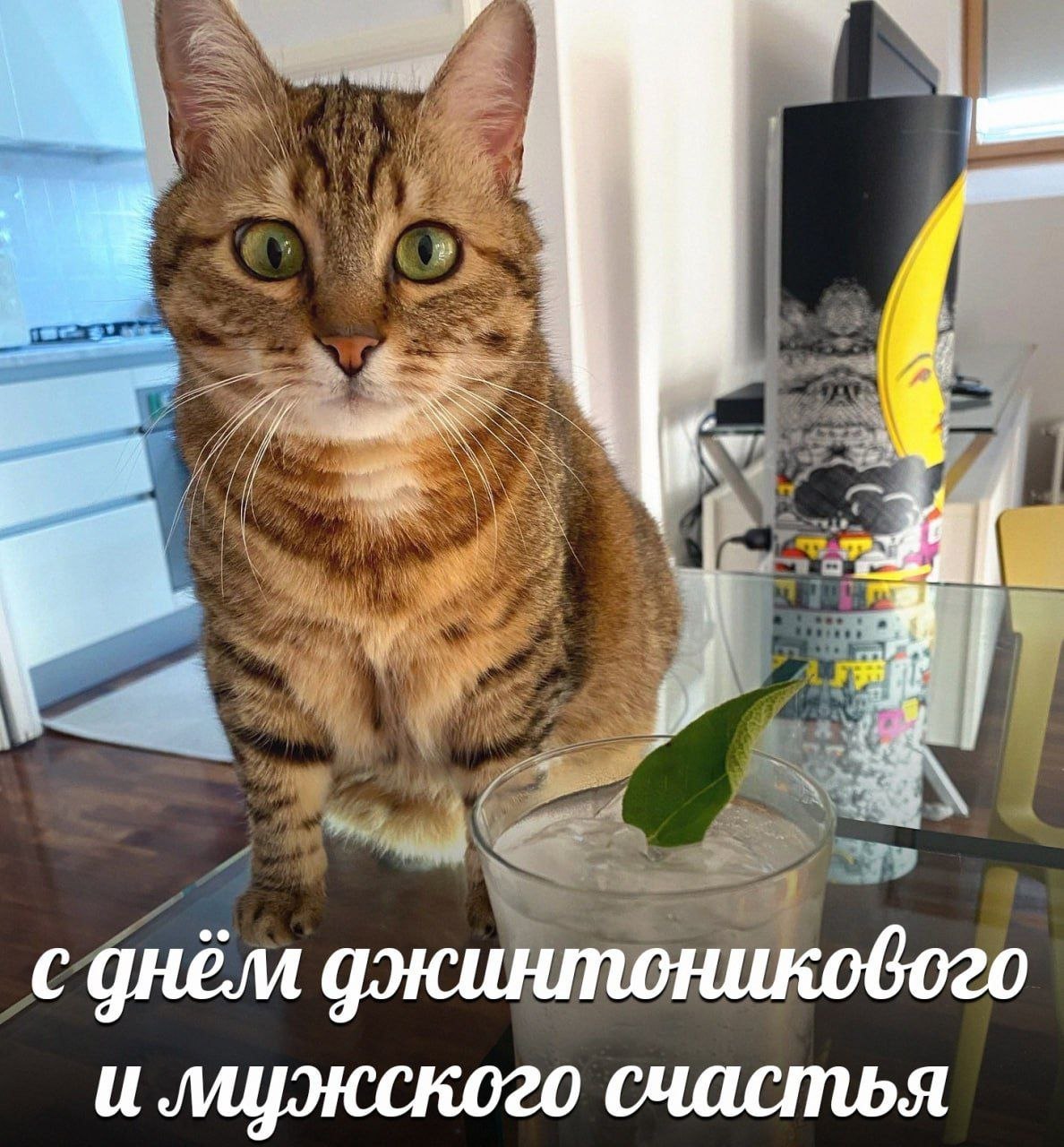Бокал джина с тоником и лаймом на праздничном столе
