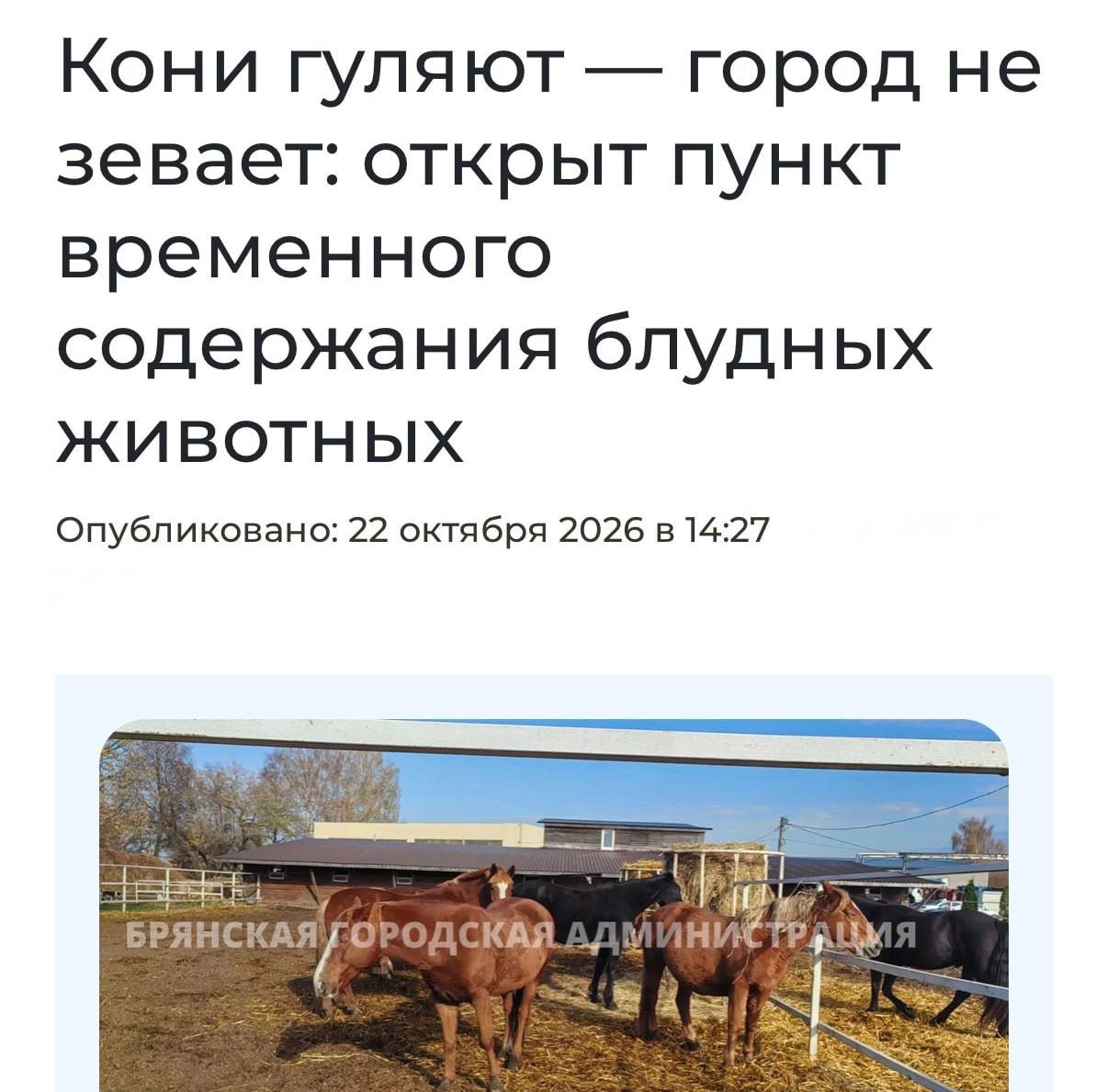 Лошади на улице города Брянска
