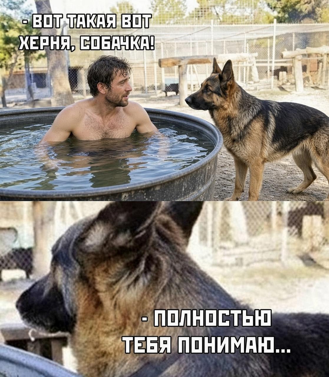Человек обнимает собаку для снятия стресса