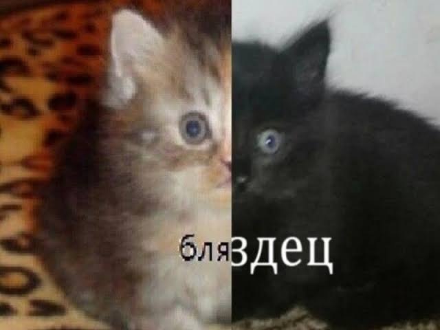 Человек произносит матерное слово перед тренировкой