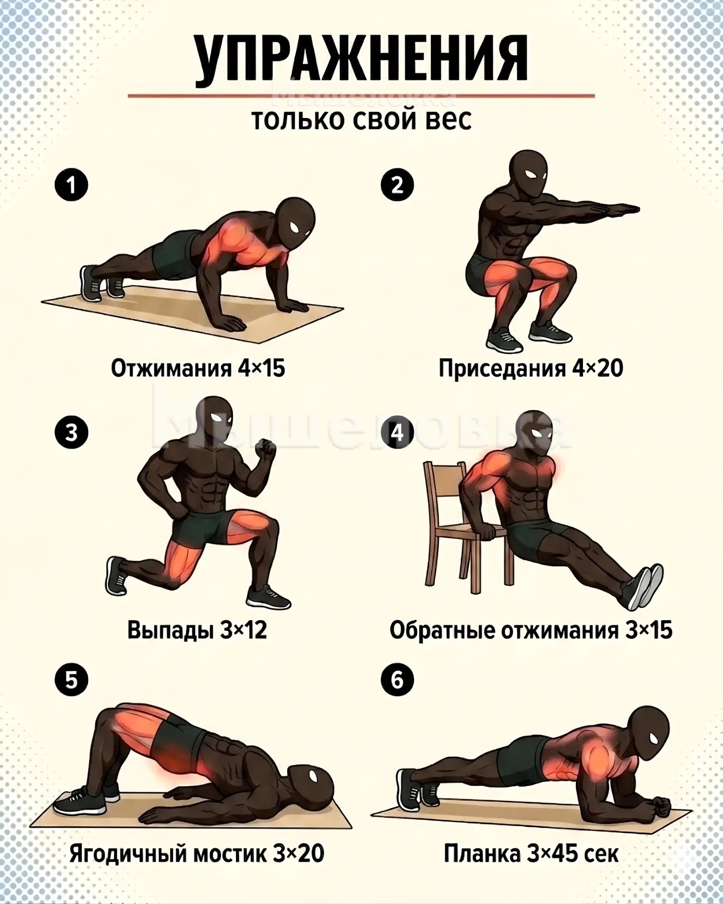 Домашняя тренировка без гантелей и тренажеров